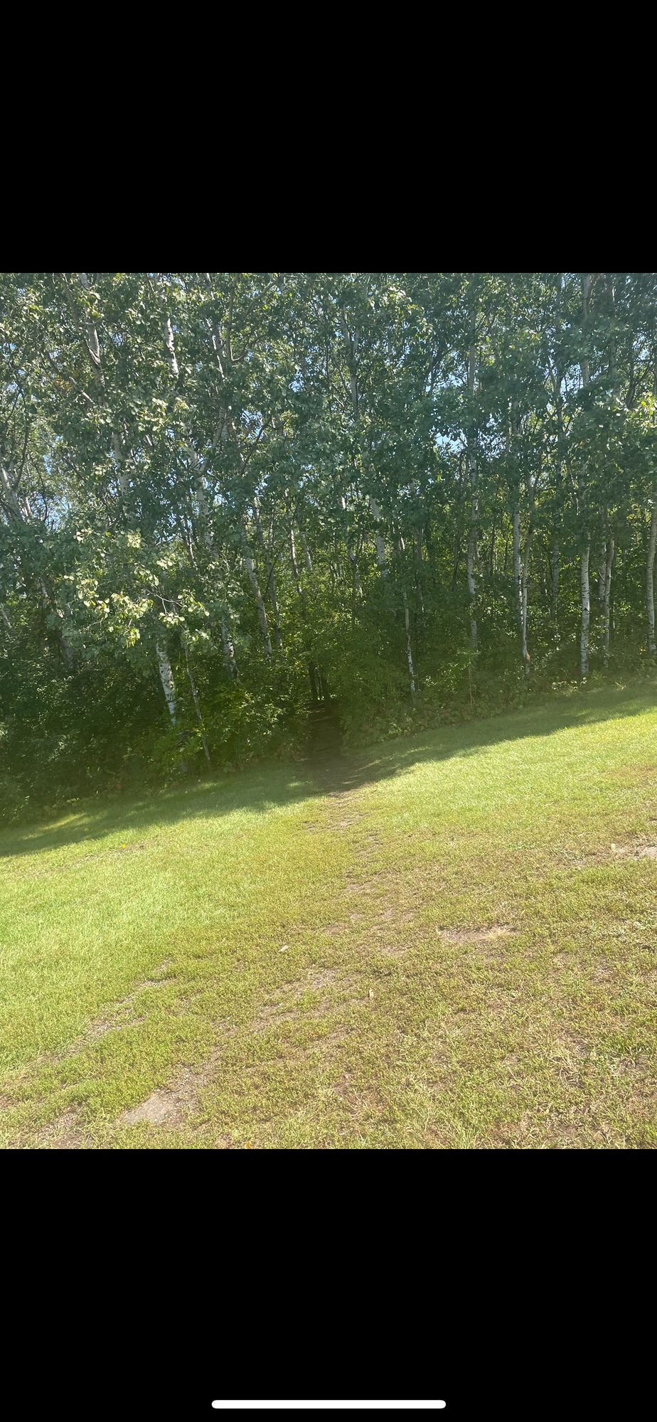 Path to hole 7