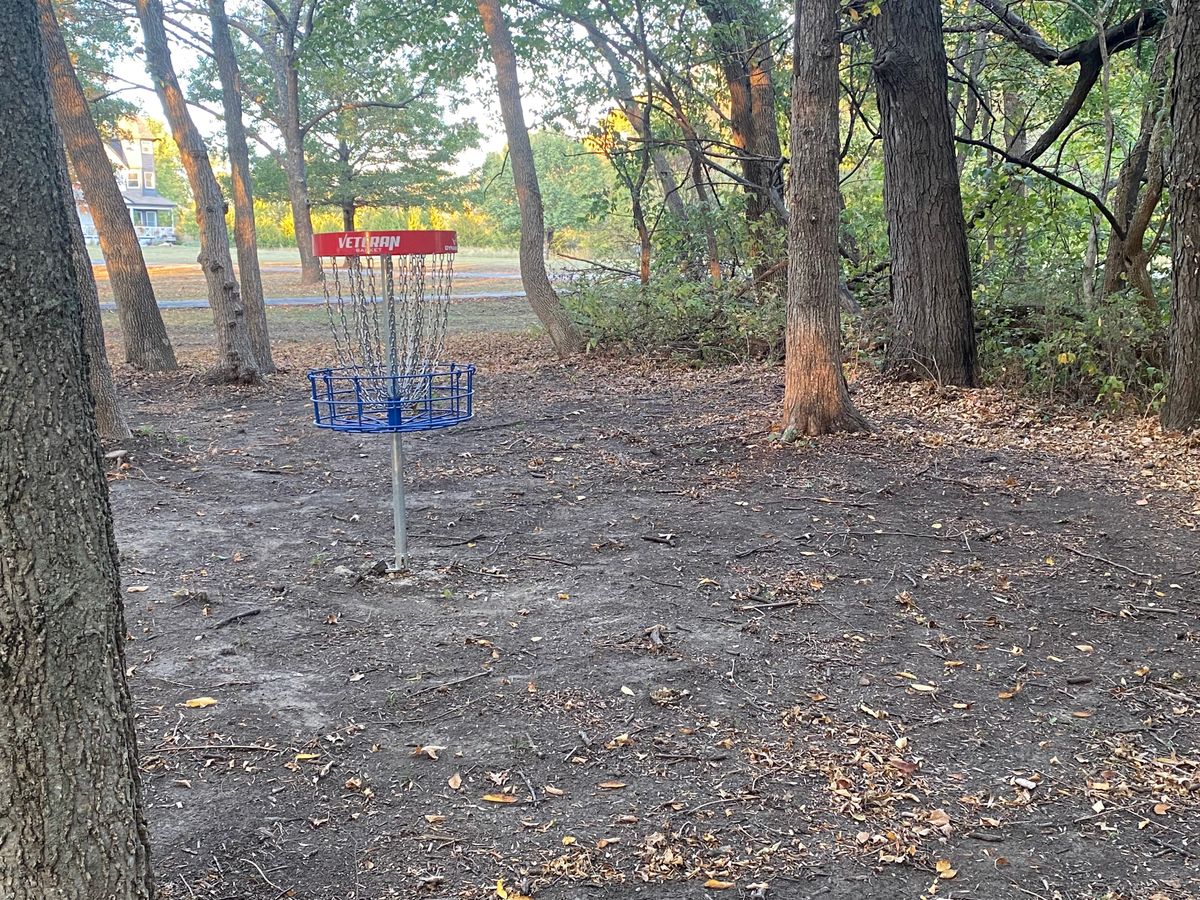 Look out from basket through guardian trees on hole #16 B