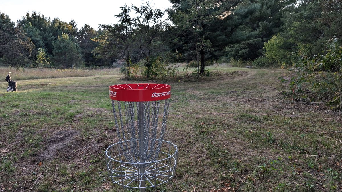 Basket of 5. I am standing at the edge of the dense first rough. There is no space to miss long.
