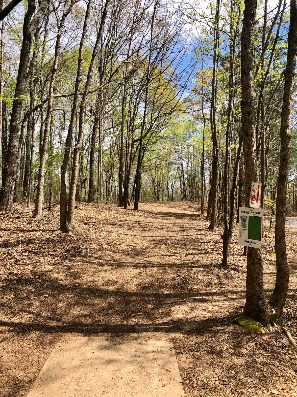Tee 5