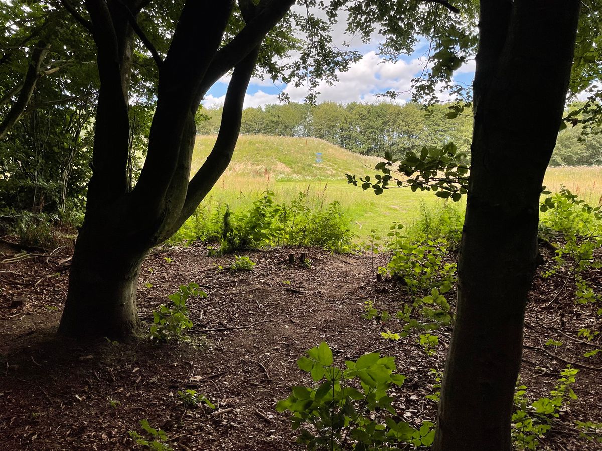 A really nice mix of open and wooded holes.