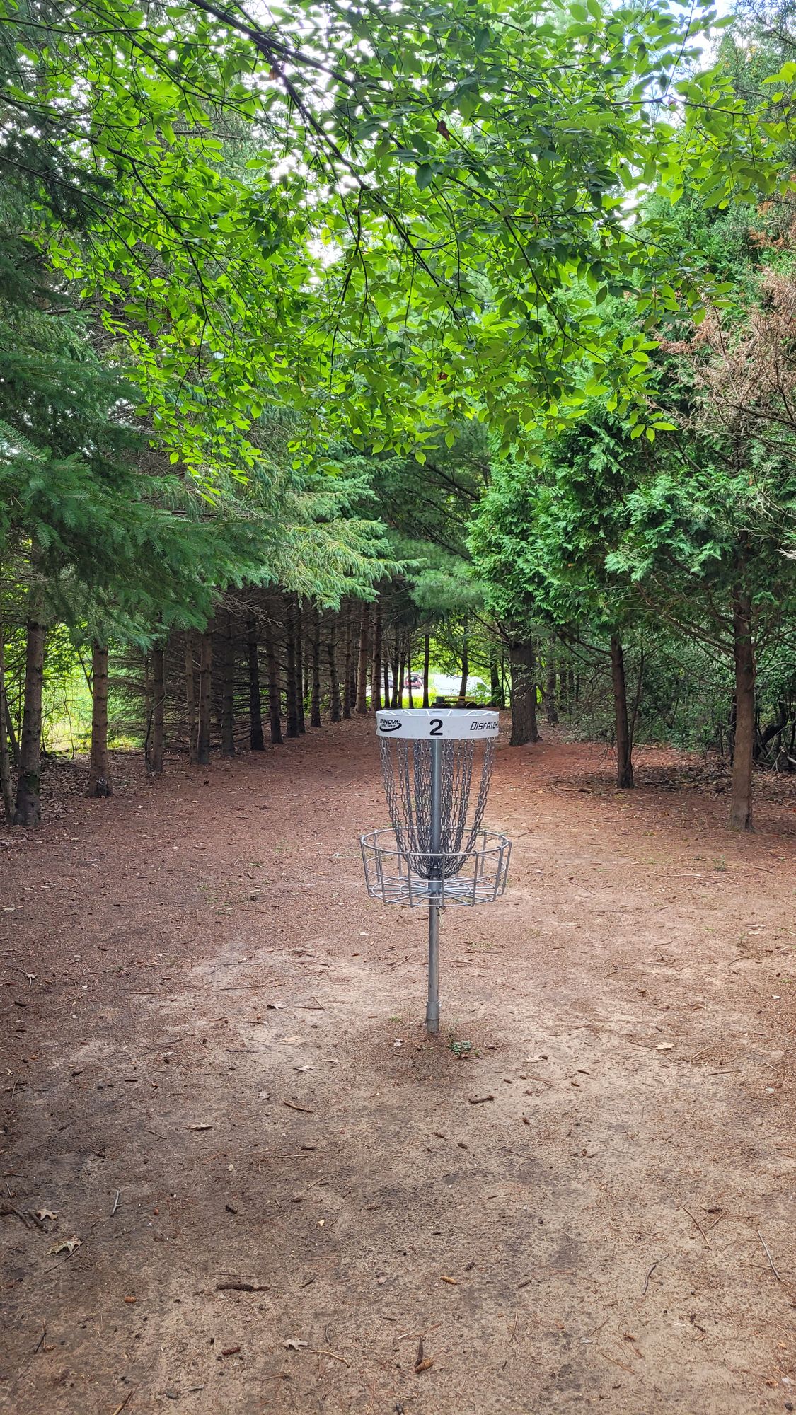 Hole 2 Basket