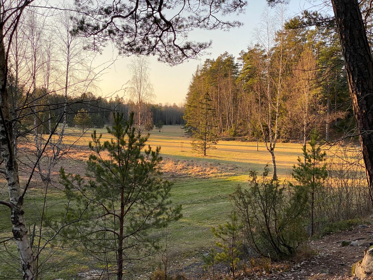 Hole 3