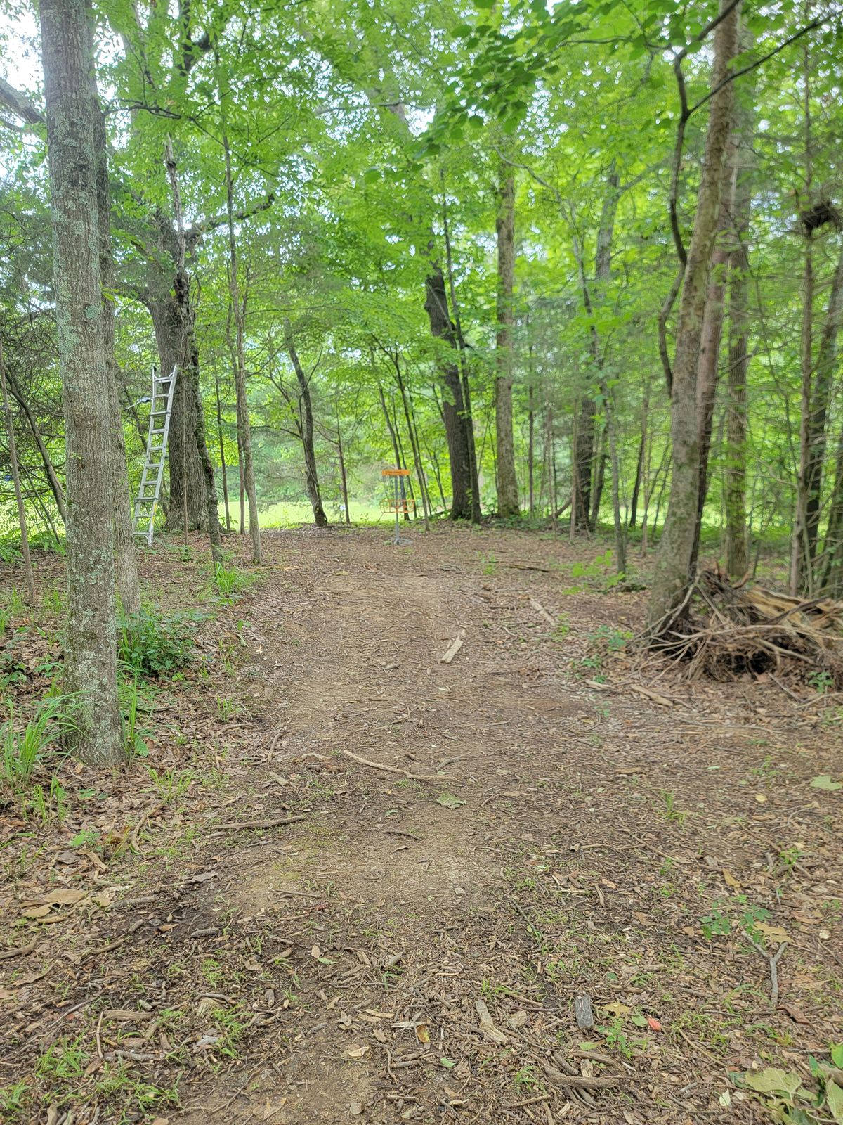 Hole 6