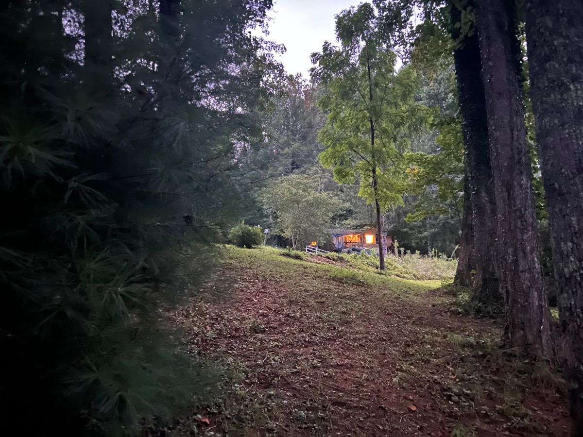 Hole 10 Fairway and basket.