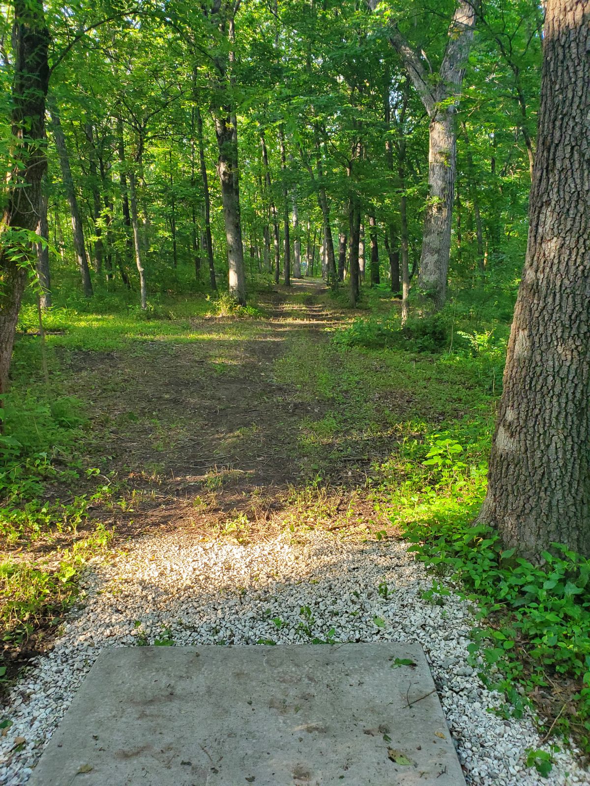 Hole 6 Short Tee Pad