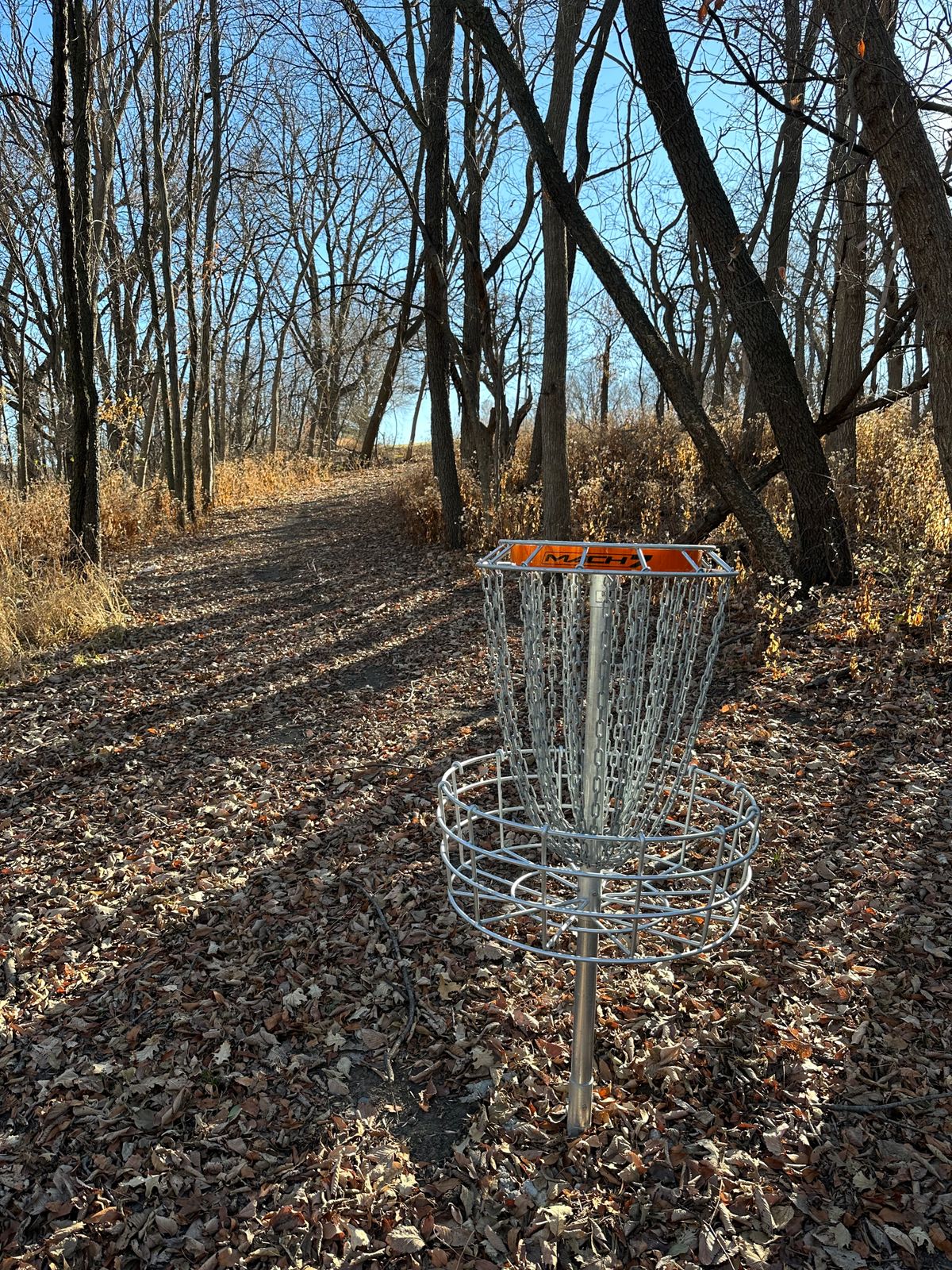 Hole 4 Basket Looking Back At Teepad.
