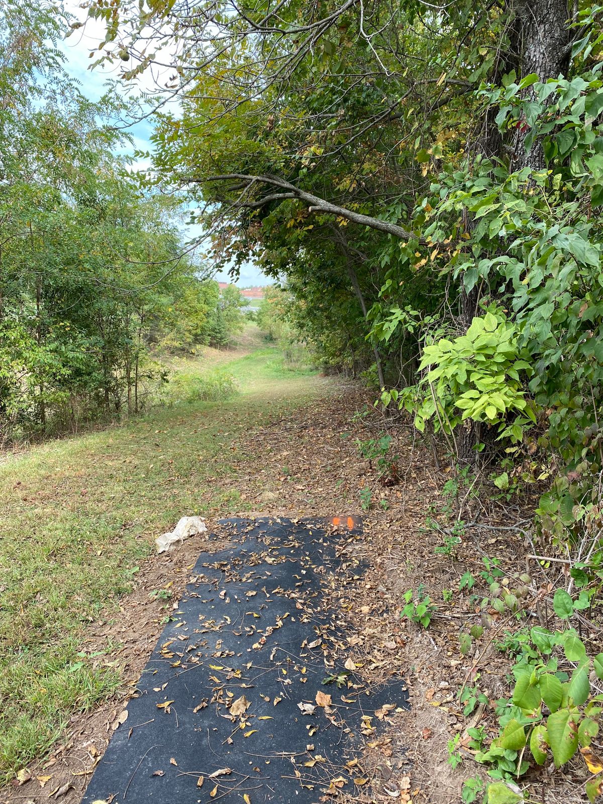 Hole 11 tee