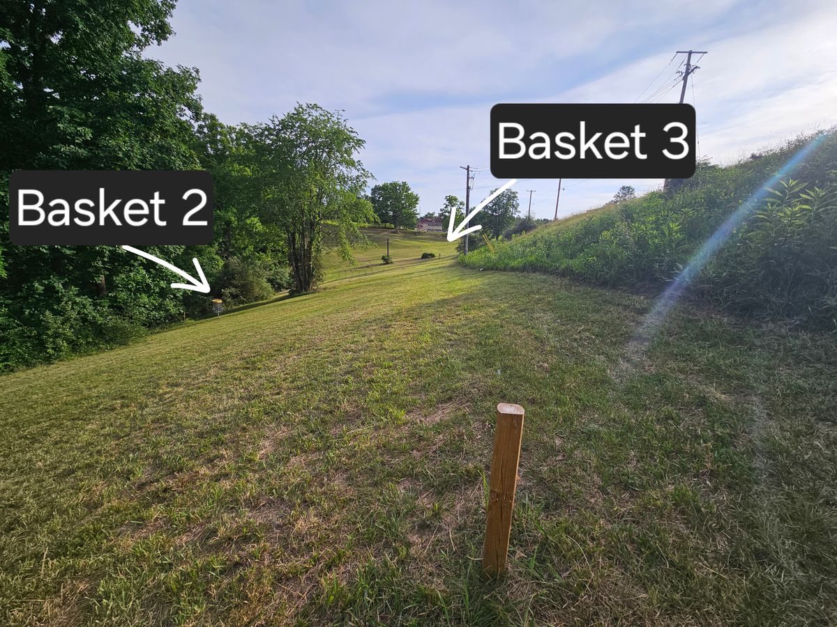 Basket 3 tee pad