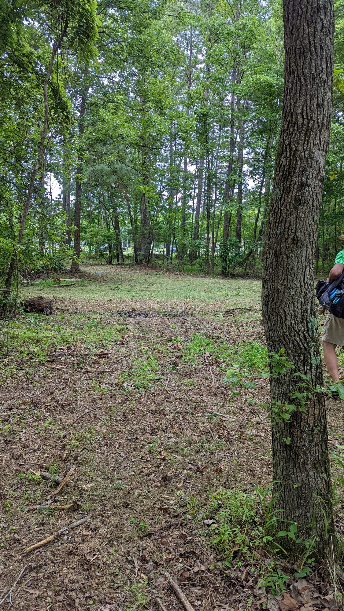 Hole 3 landing area dogleg