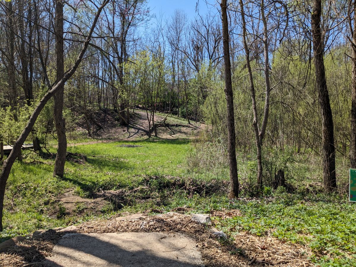 #14 from Tee Pad