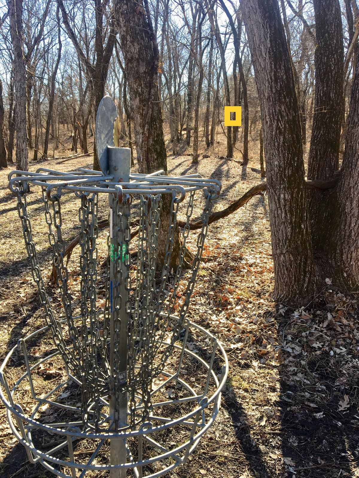 Hole 8 Basket to Tee