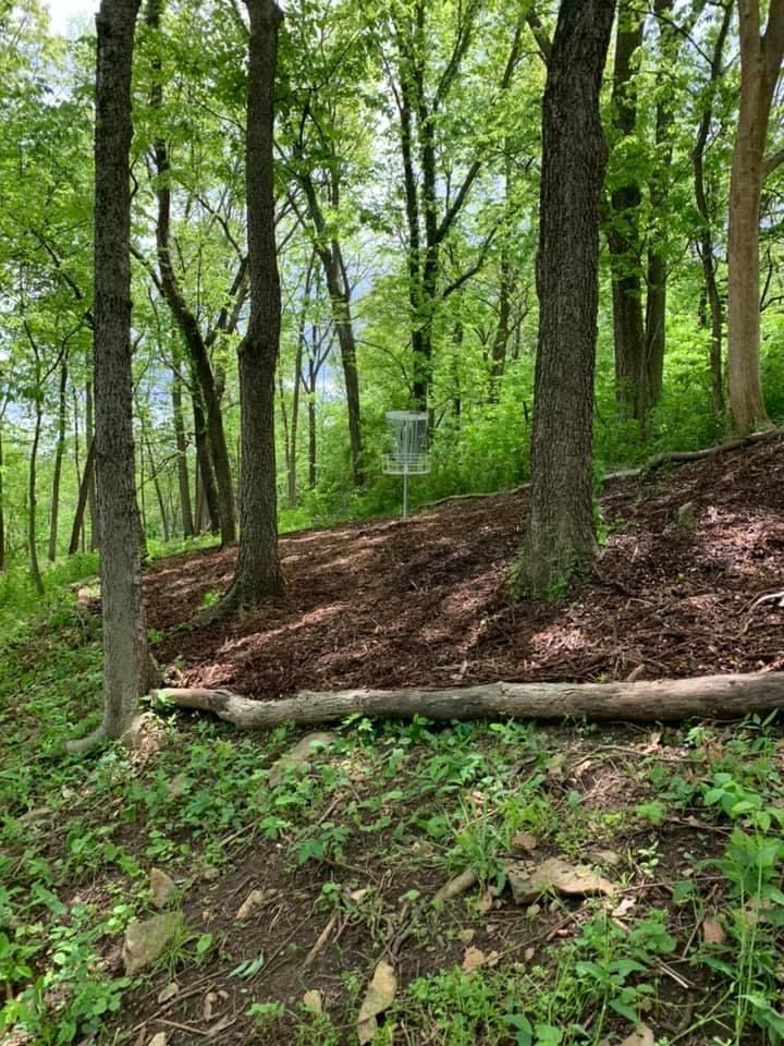 Hole 6’s green