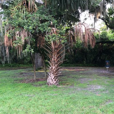 Hole 1