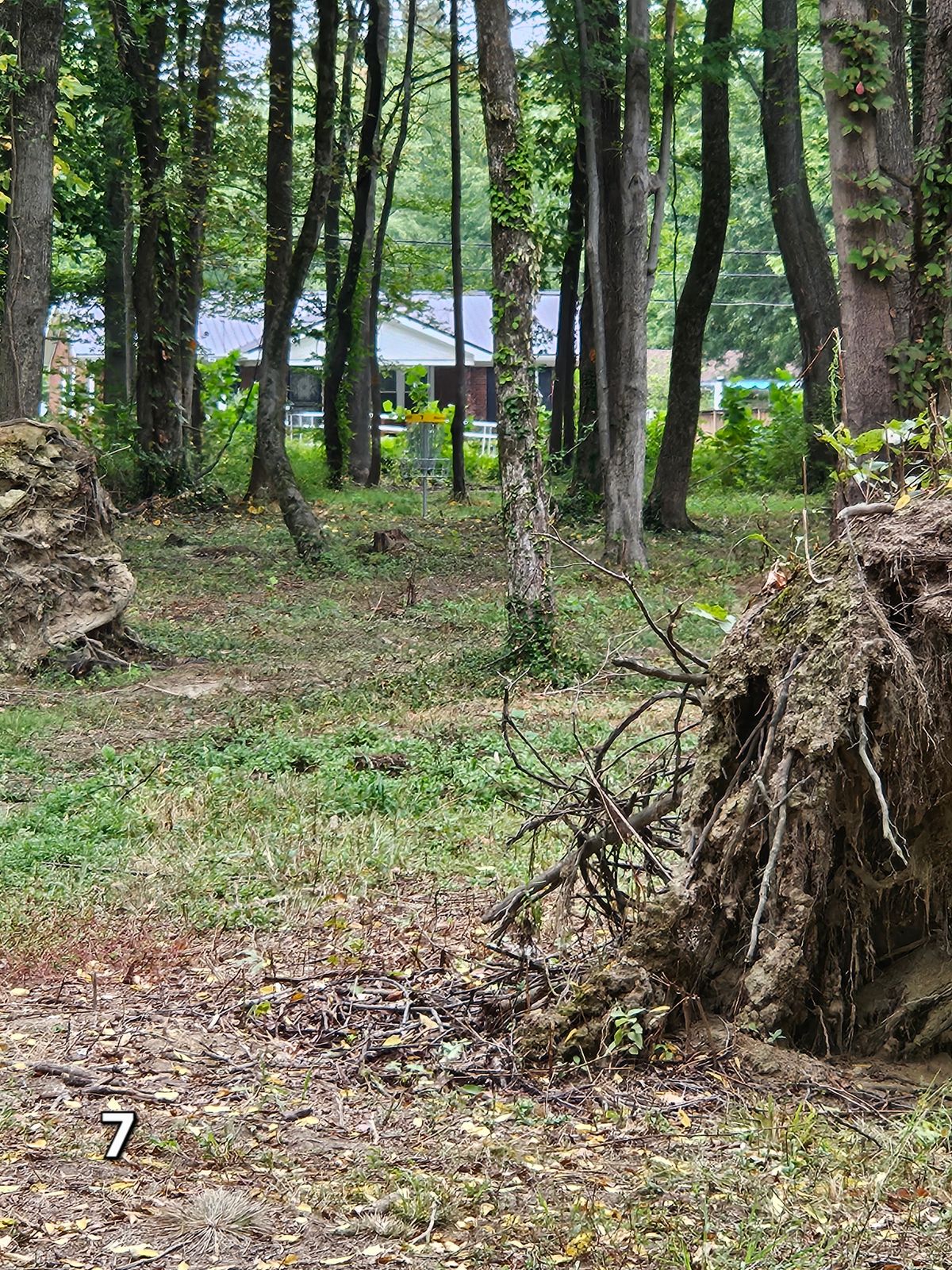 Hole 7