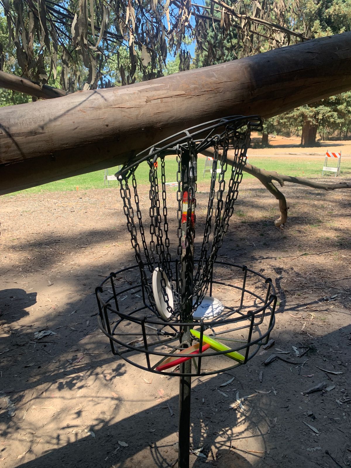 Hole 7 Battle Damage