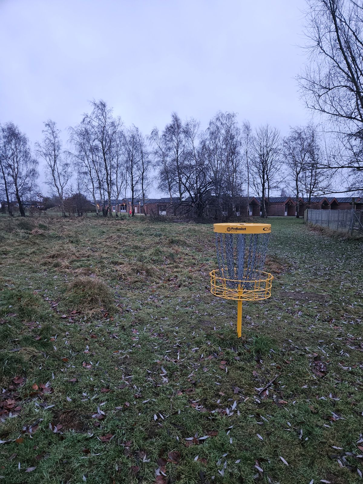 Hole 4 - see from basket toward teepad