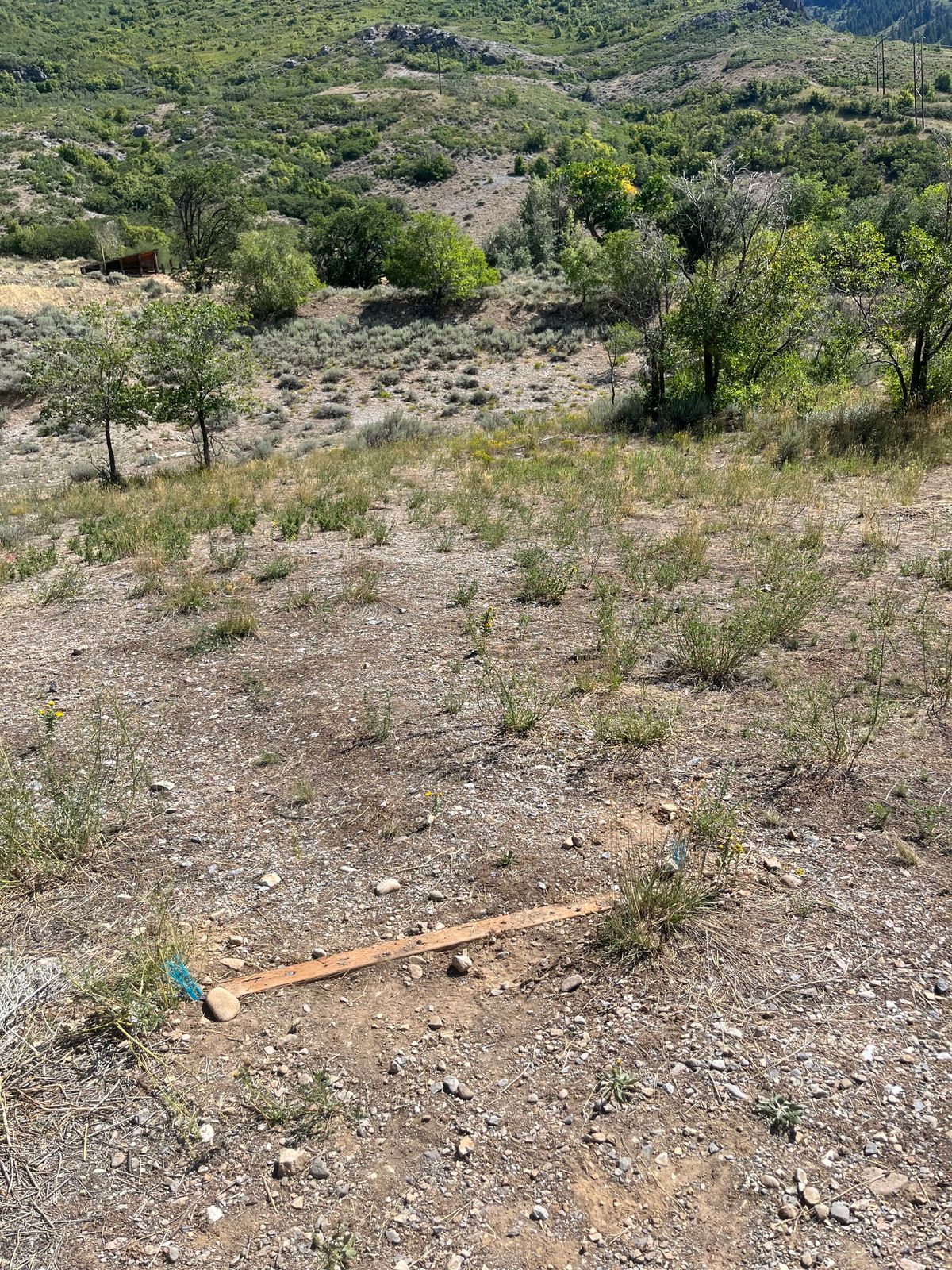 Hole 7 blue tee pad