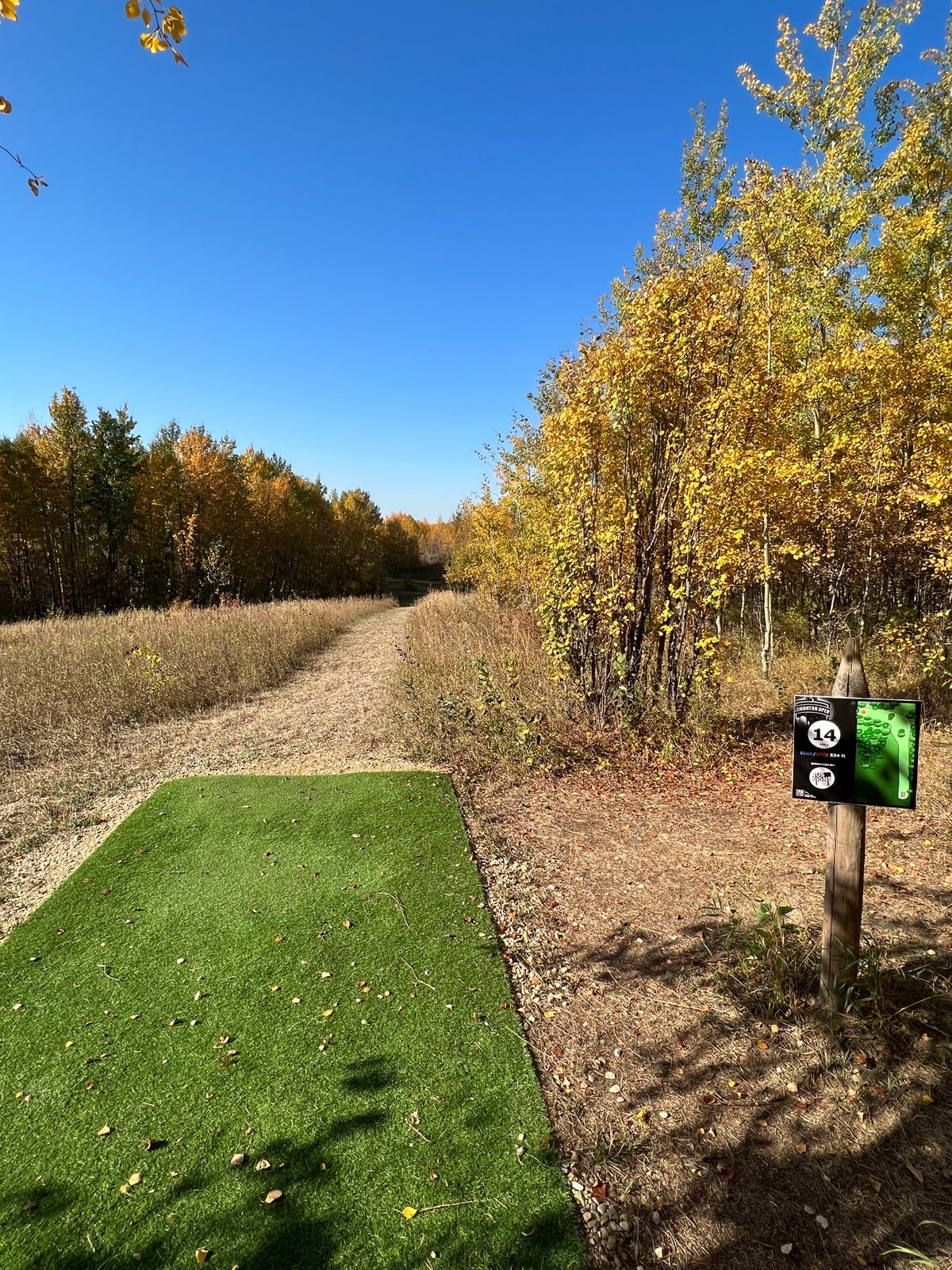 Hole 14 Tee Pad