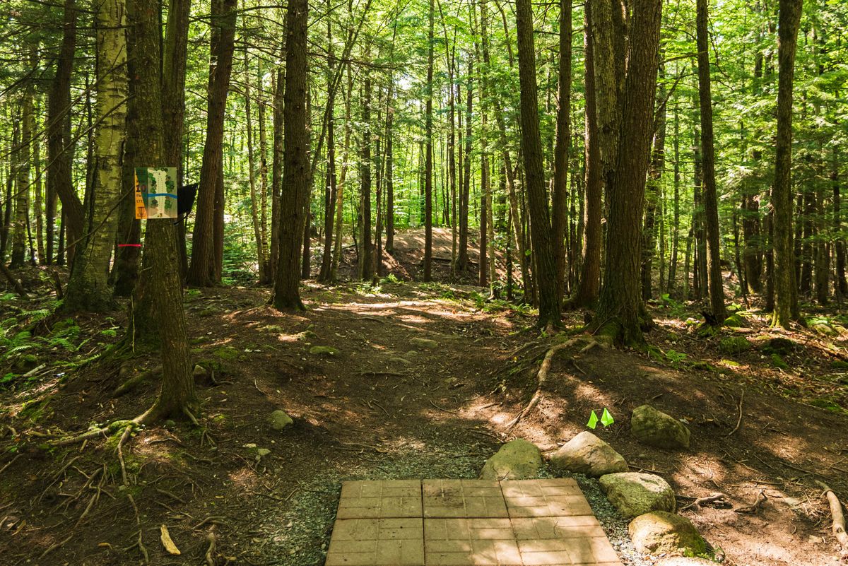 Hole 10 tee