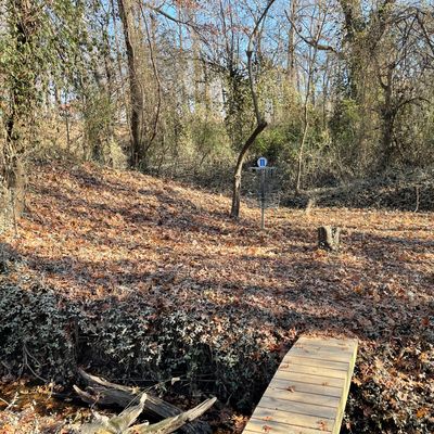 Hole 11 green.