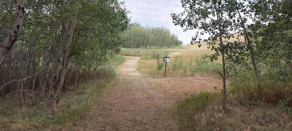 To hole 16.🍃🍀☘🍃