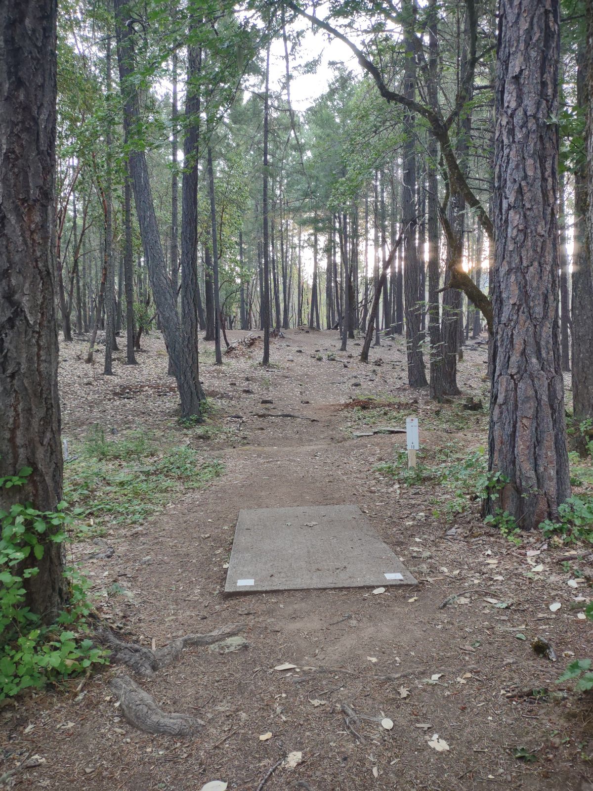 Hole ten