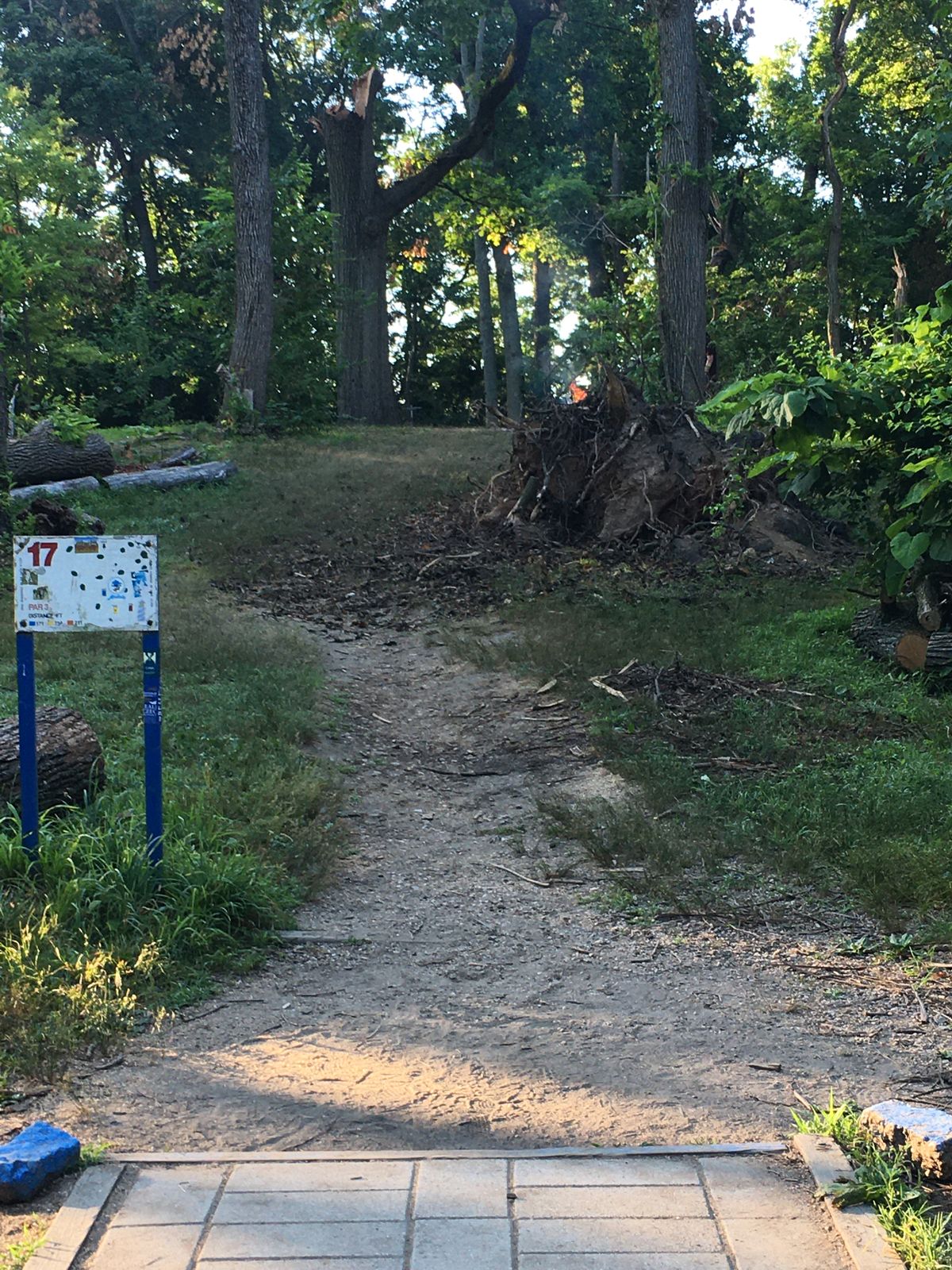 Fire hazard on hole 17.  Clear the fire or your disc will melt.