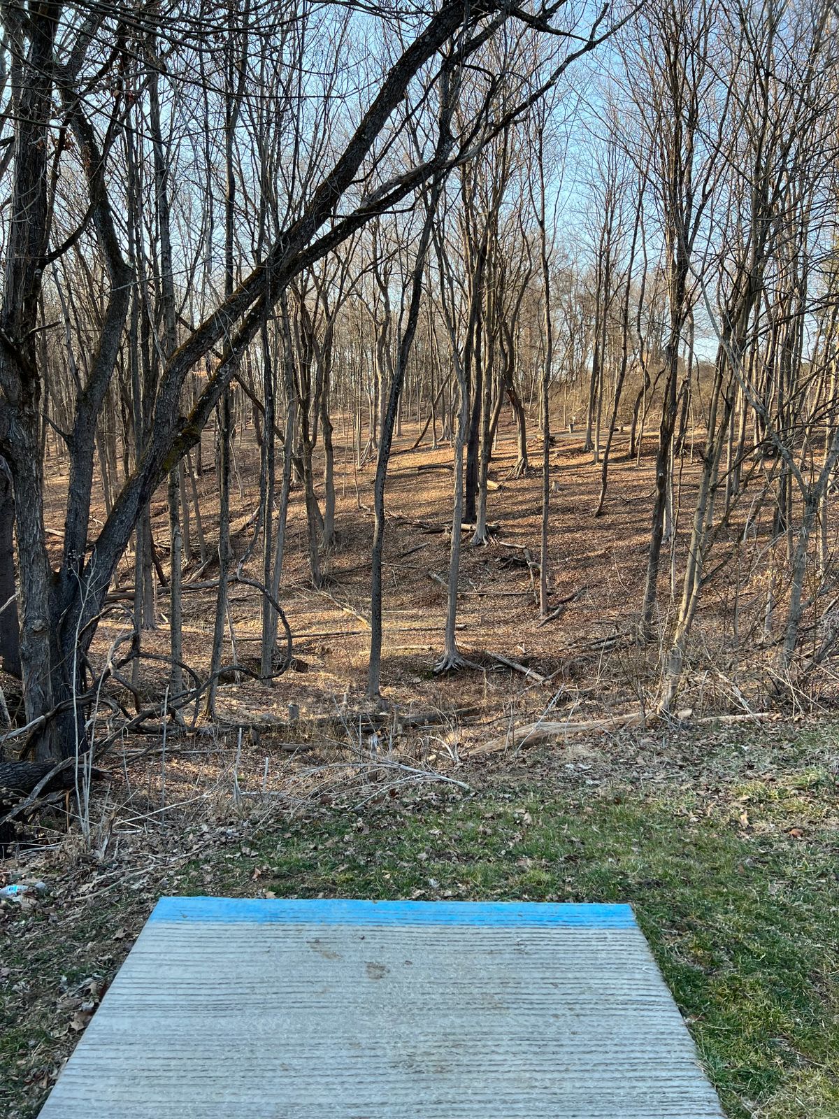 Hole 9 - Blues