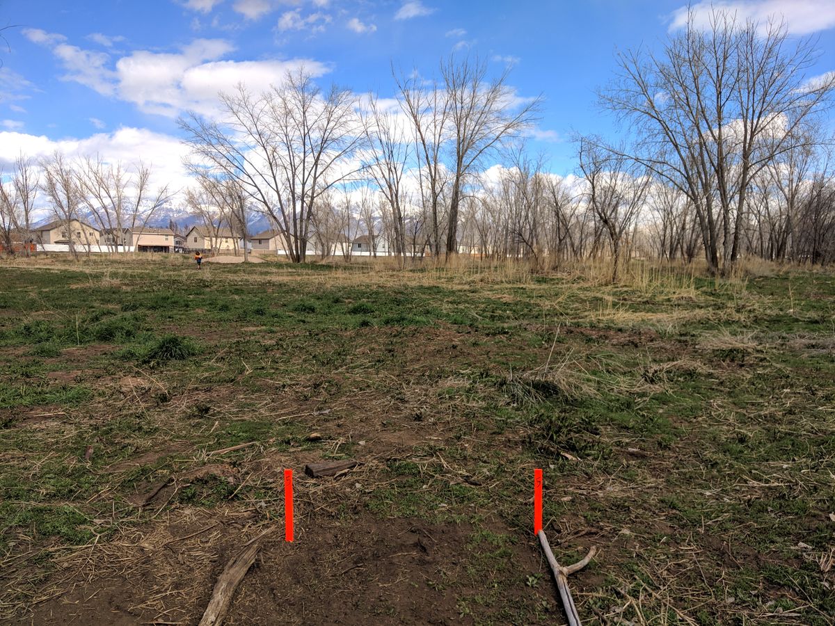 Hole #5 Tee