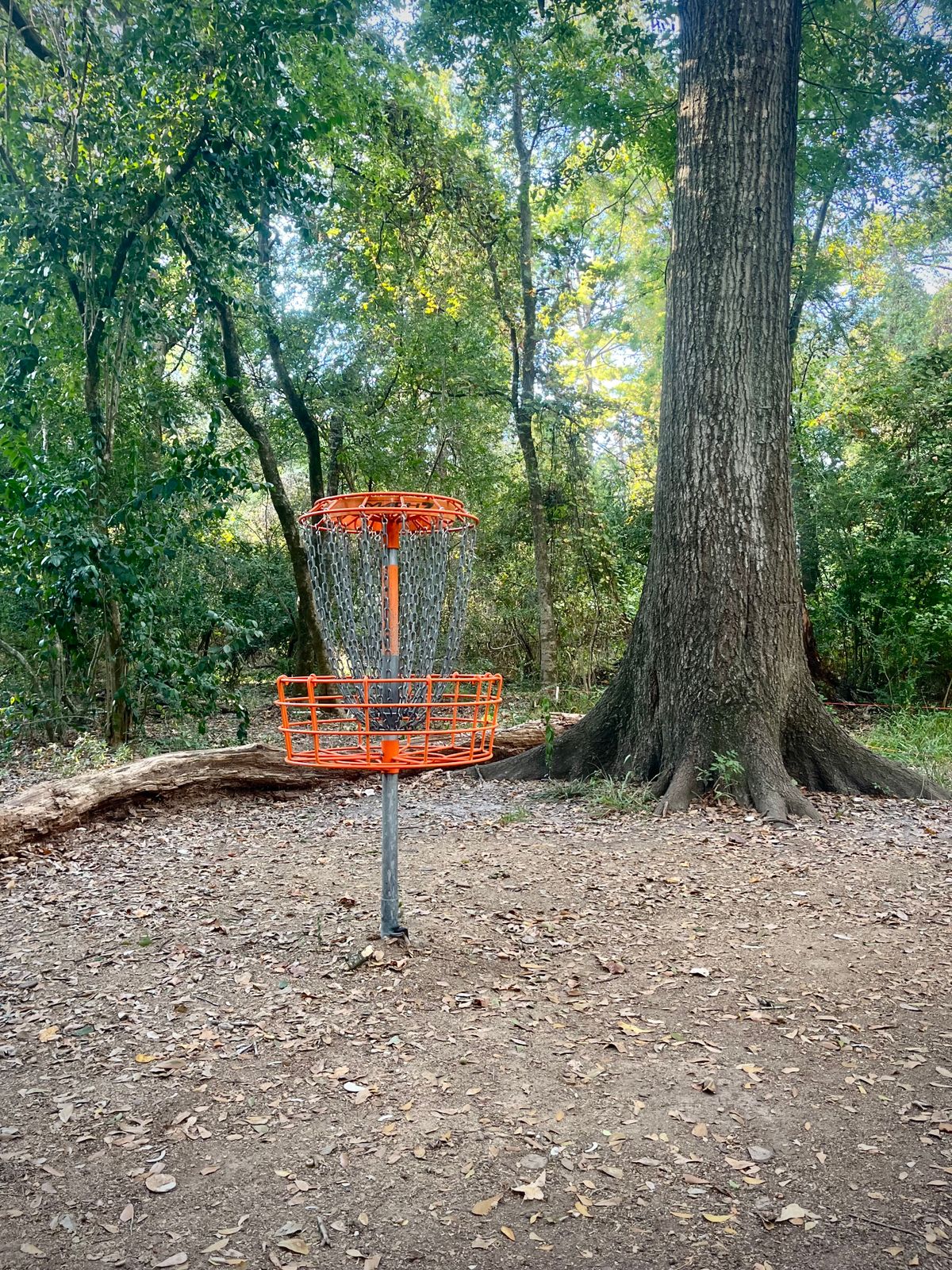Hole 9