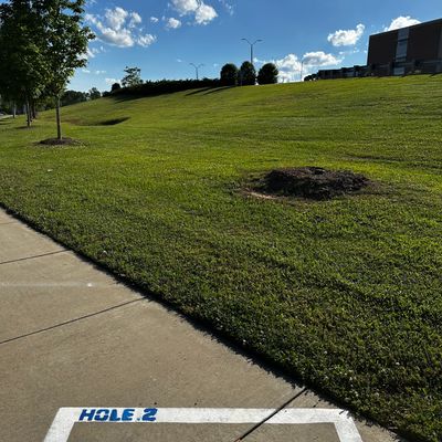 Hole 2 White Tee Box