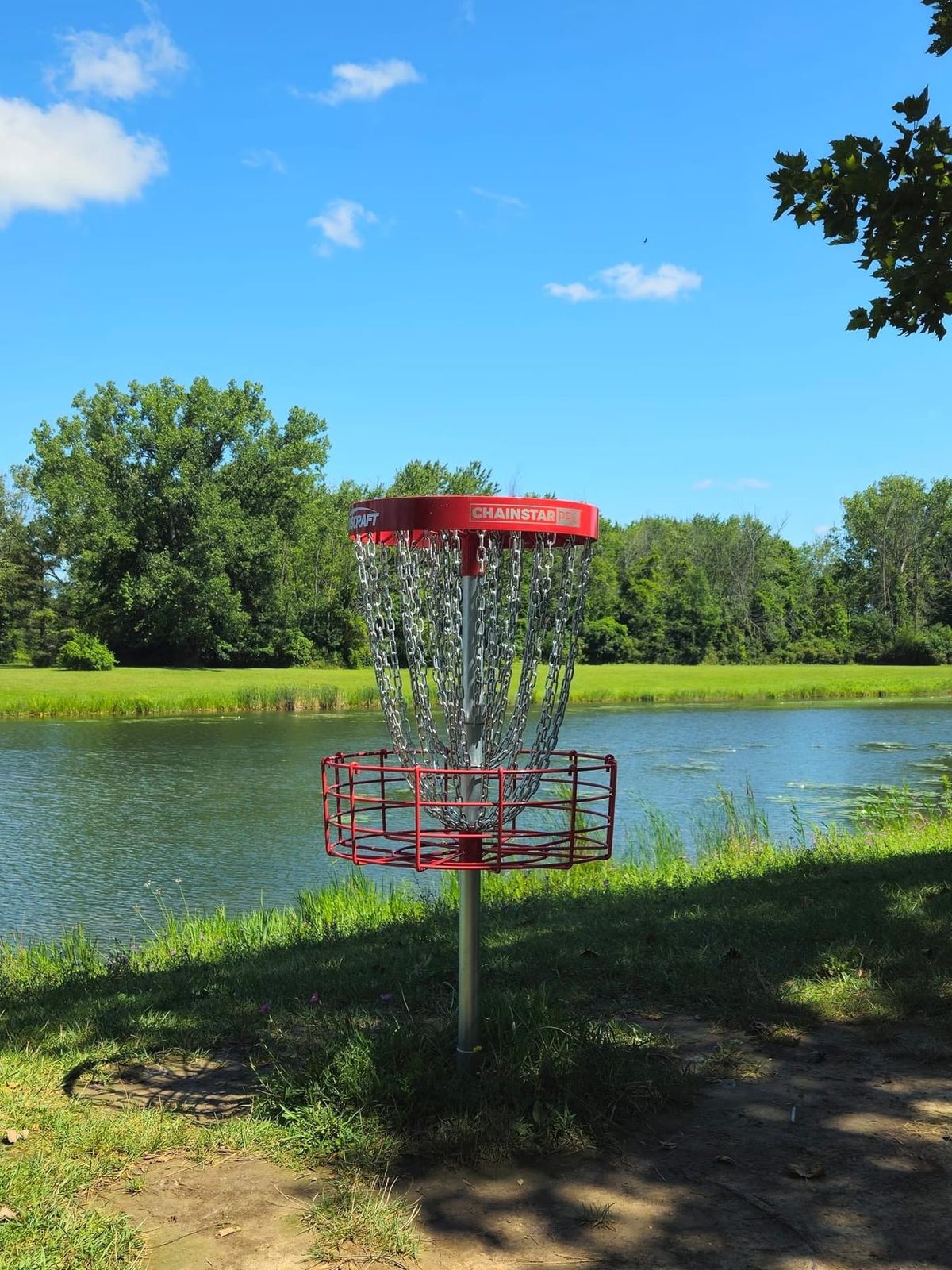 Hole 15 basket