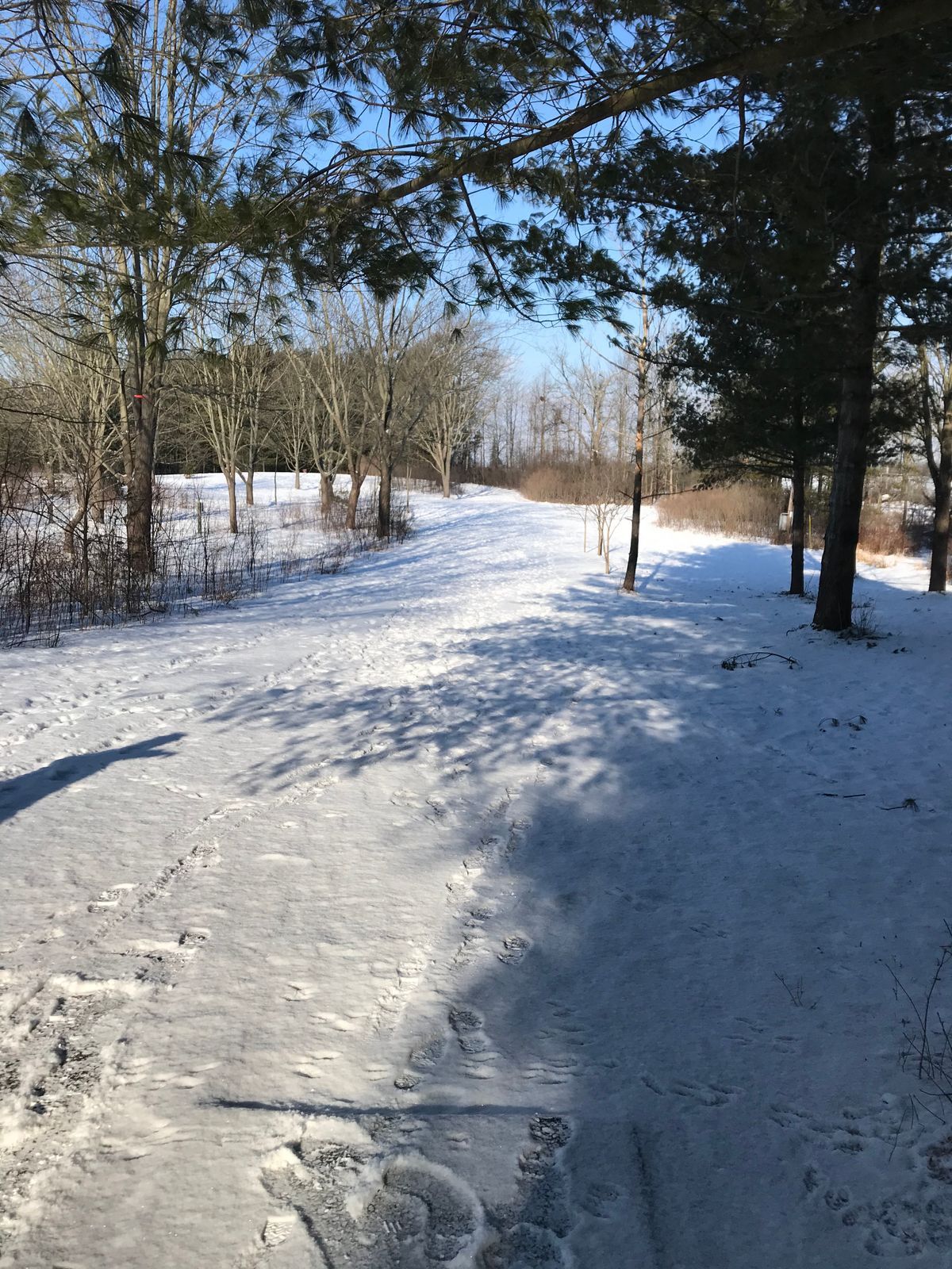 Hole 7 short tee