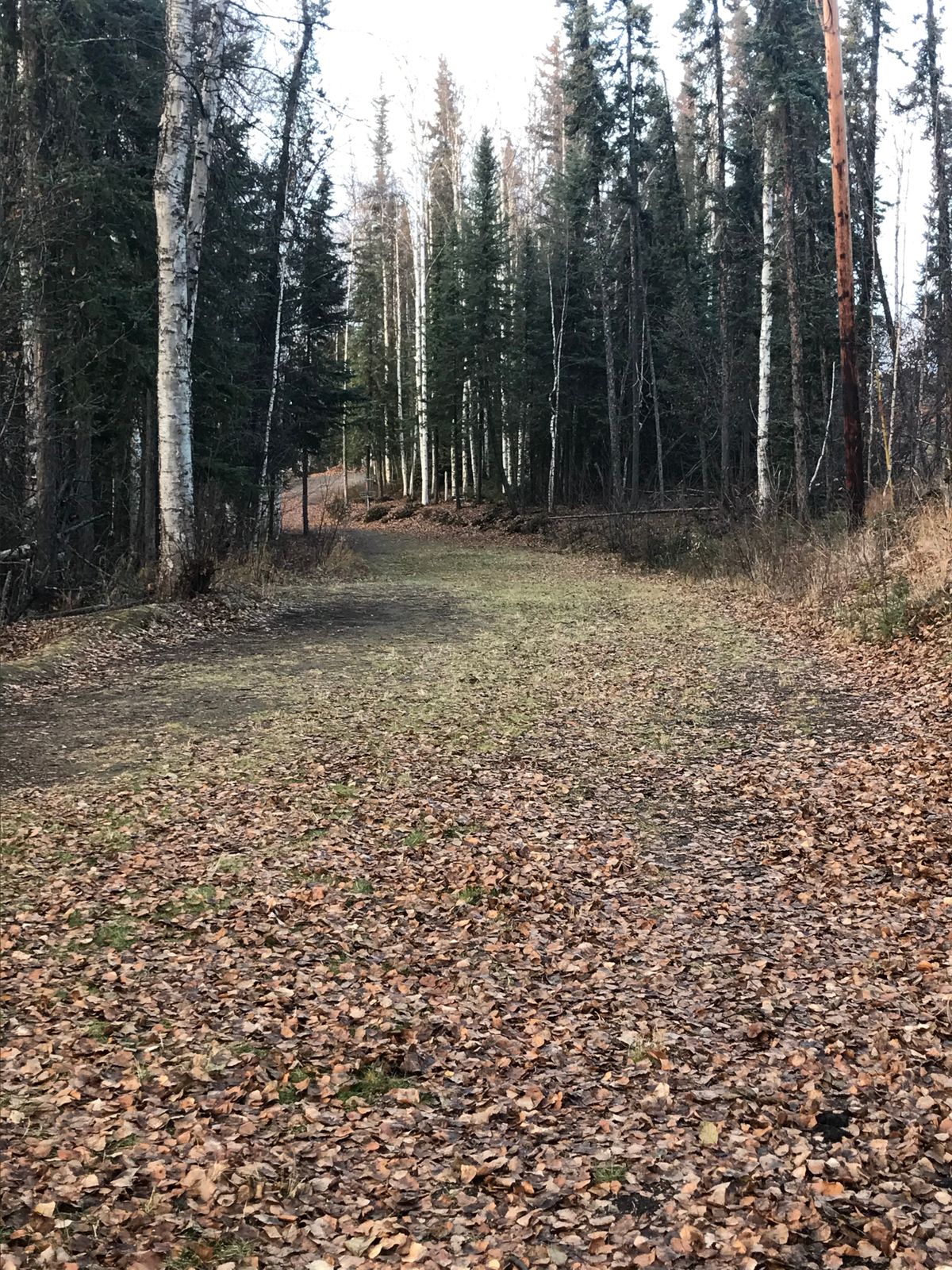 From corner, basket is on the right down close to the end