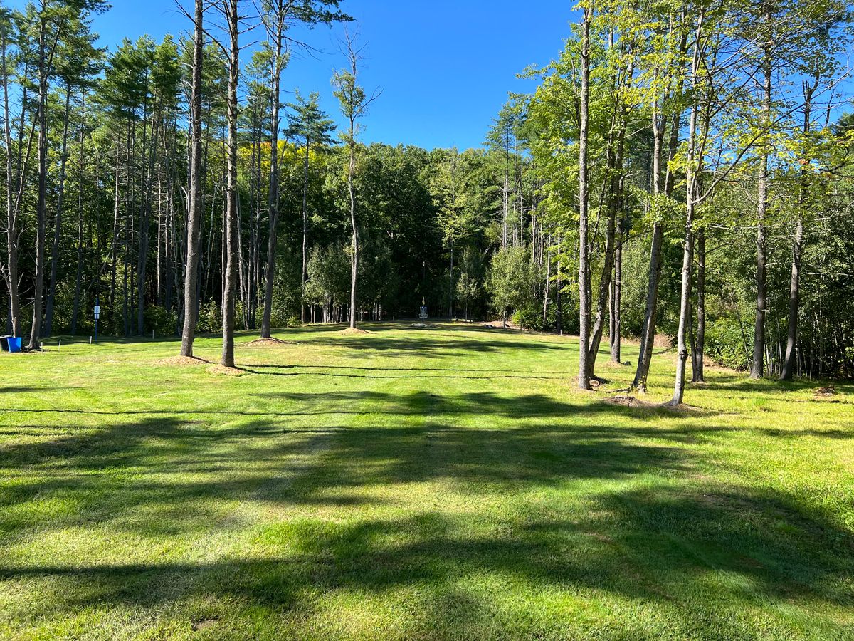 Hole 6