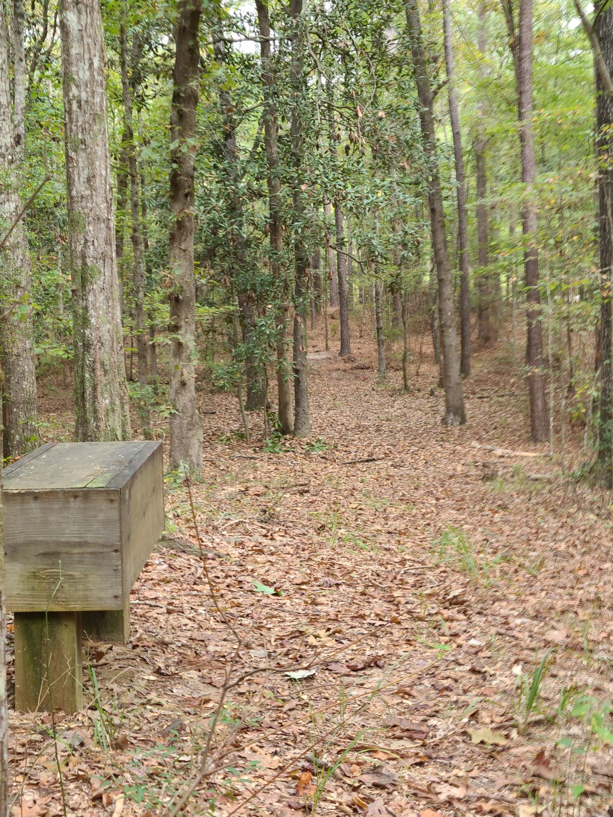 Hole 4