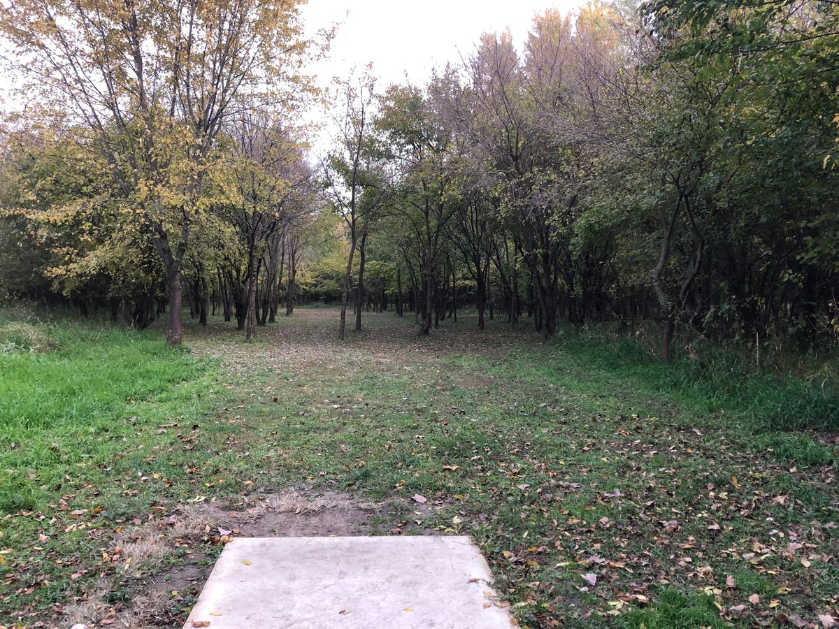 Hole 5 Red Tee 2022