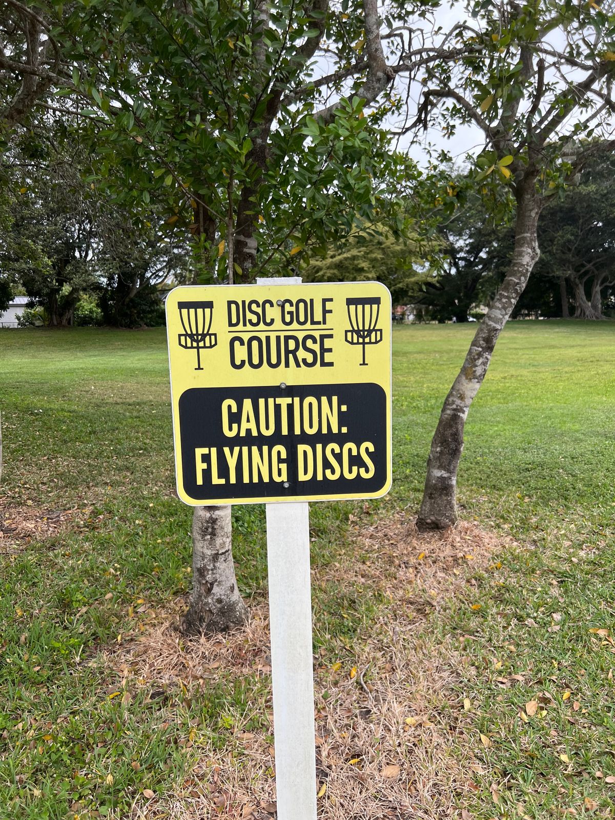 Flying Discs