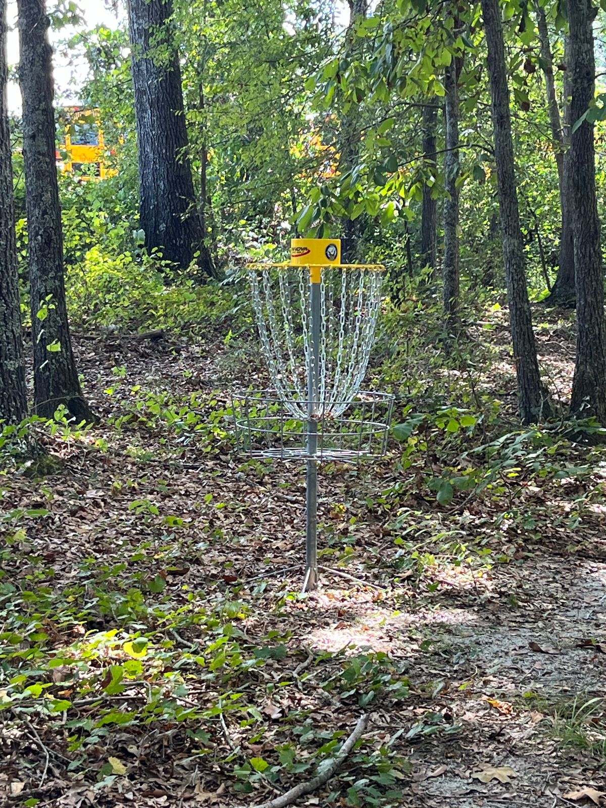 Hole 3 sits in the only wooded fairway to right off main trail.