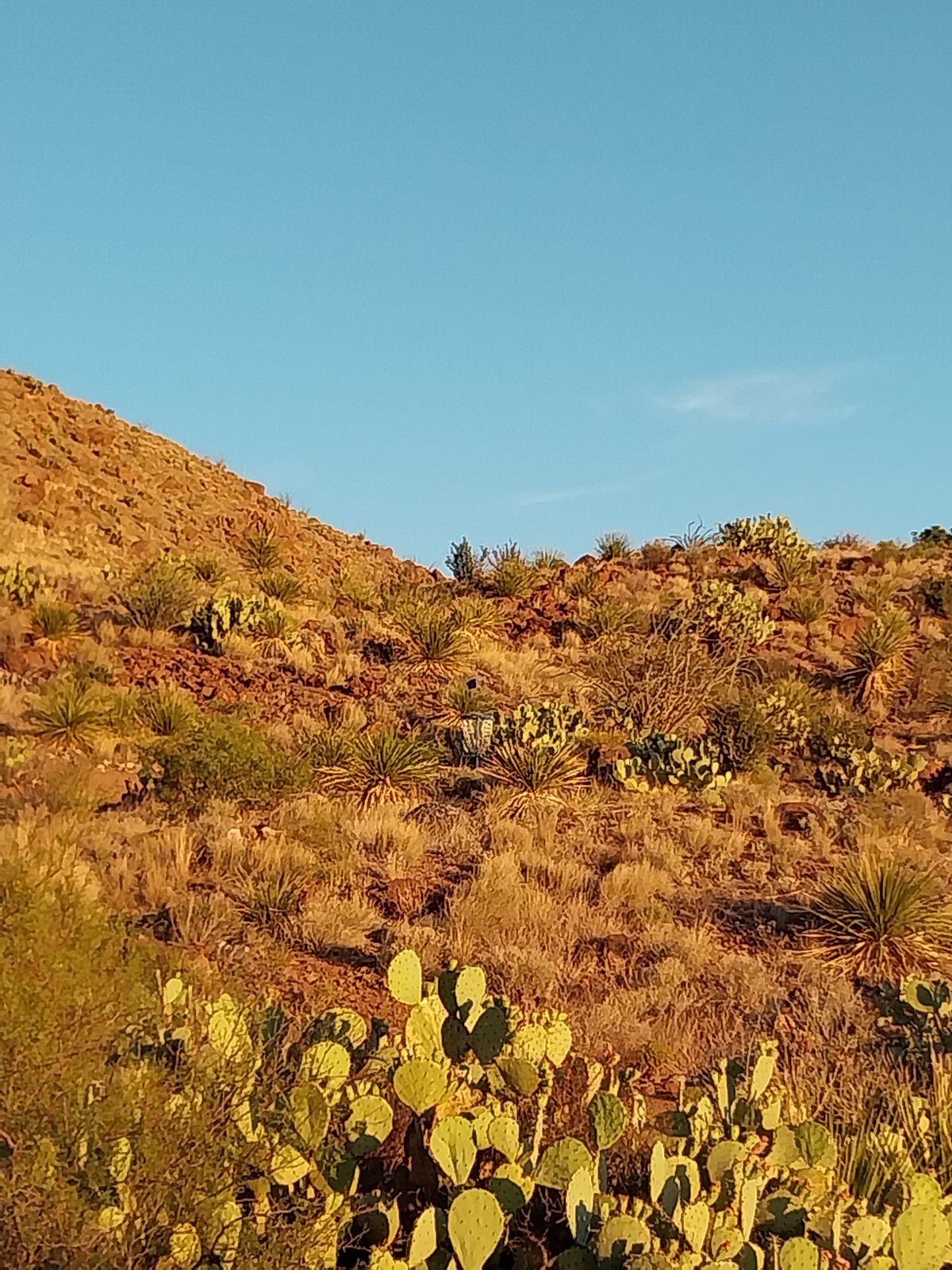 Extreme Desert Disc Golf