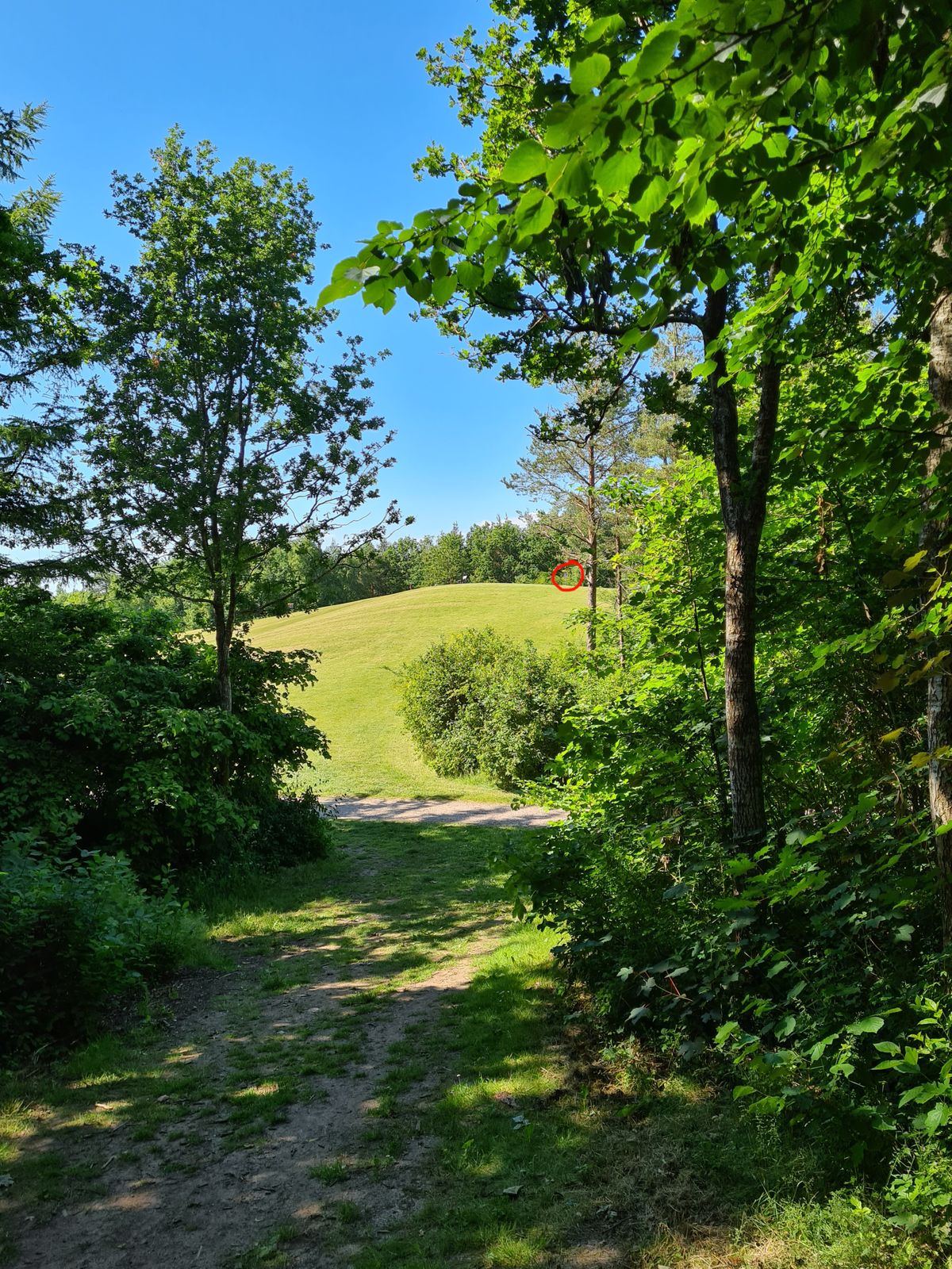 Hole 9, view from yellow tee