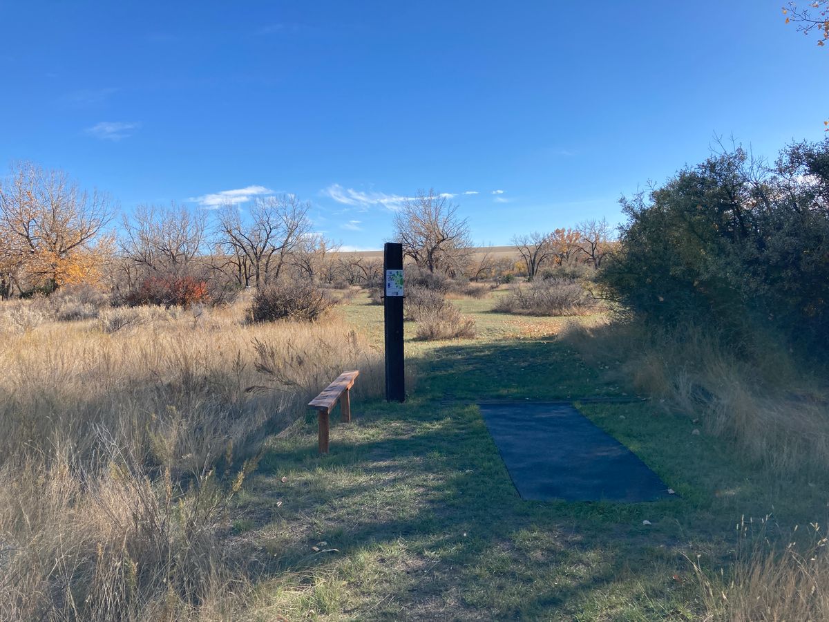 Hole 6 tee area