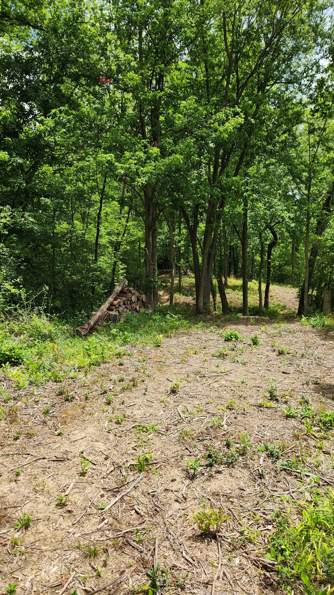 Hole 3 view from tee