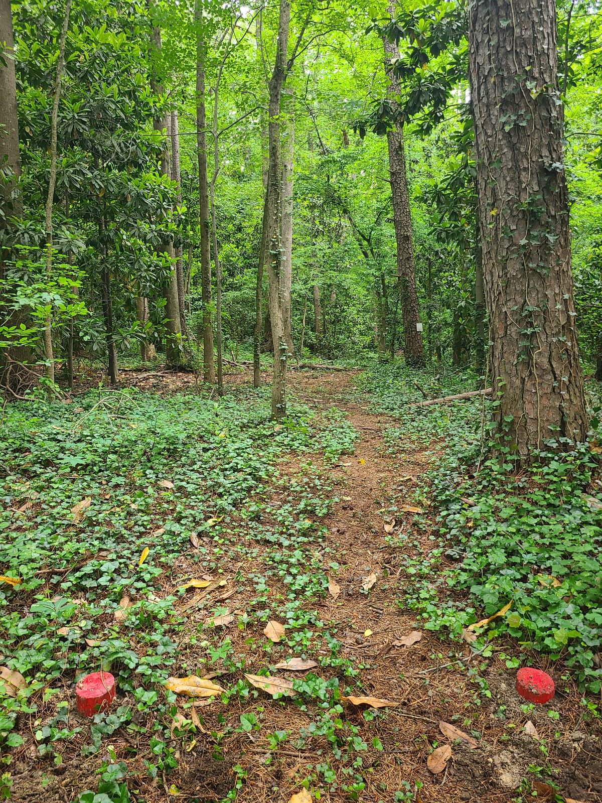 Hole 2