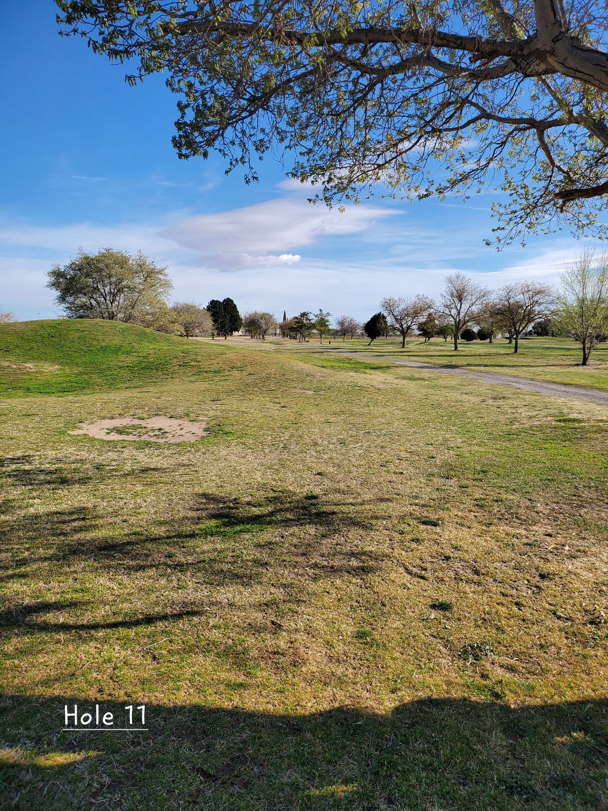 Hole 11