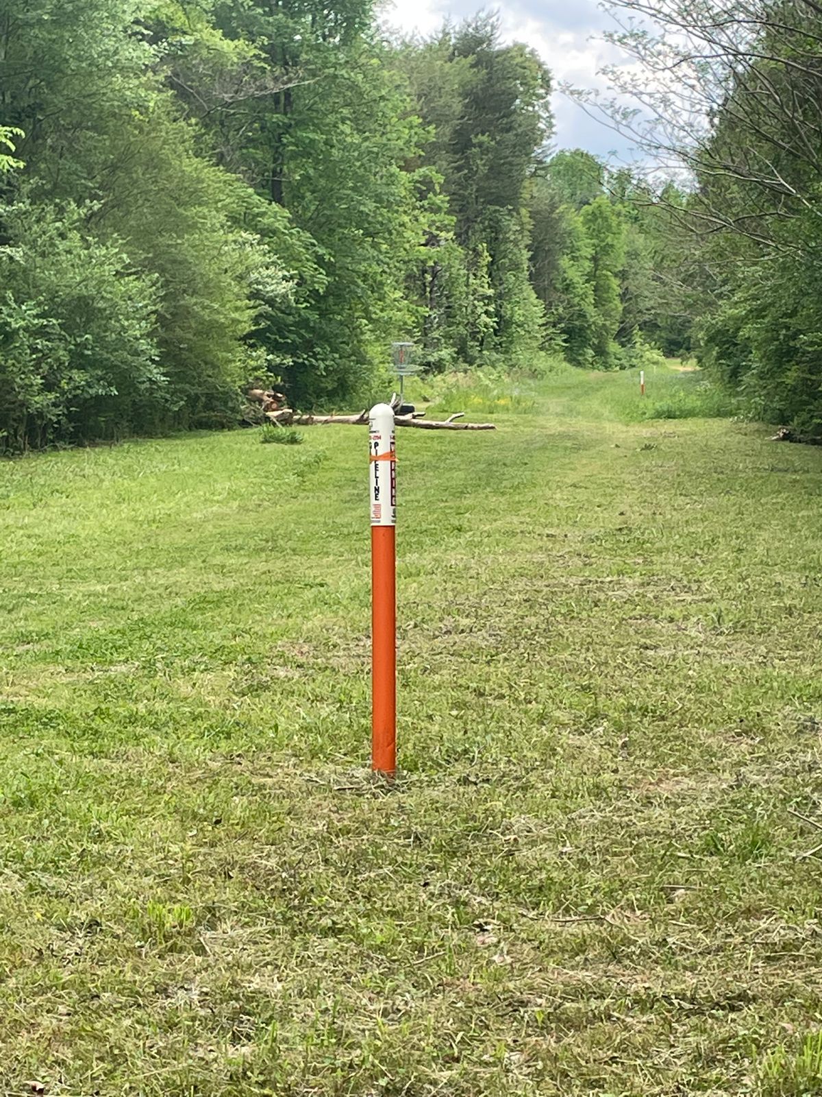 Basket behind fallen lotto left of orange marker
