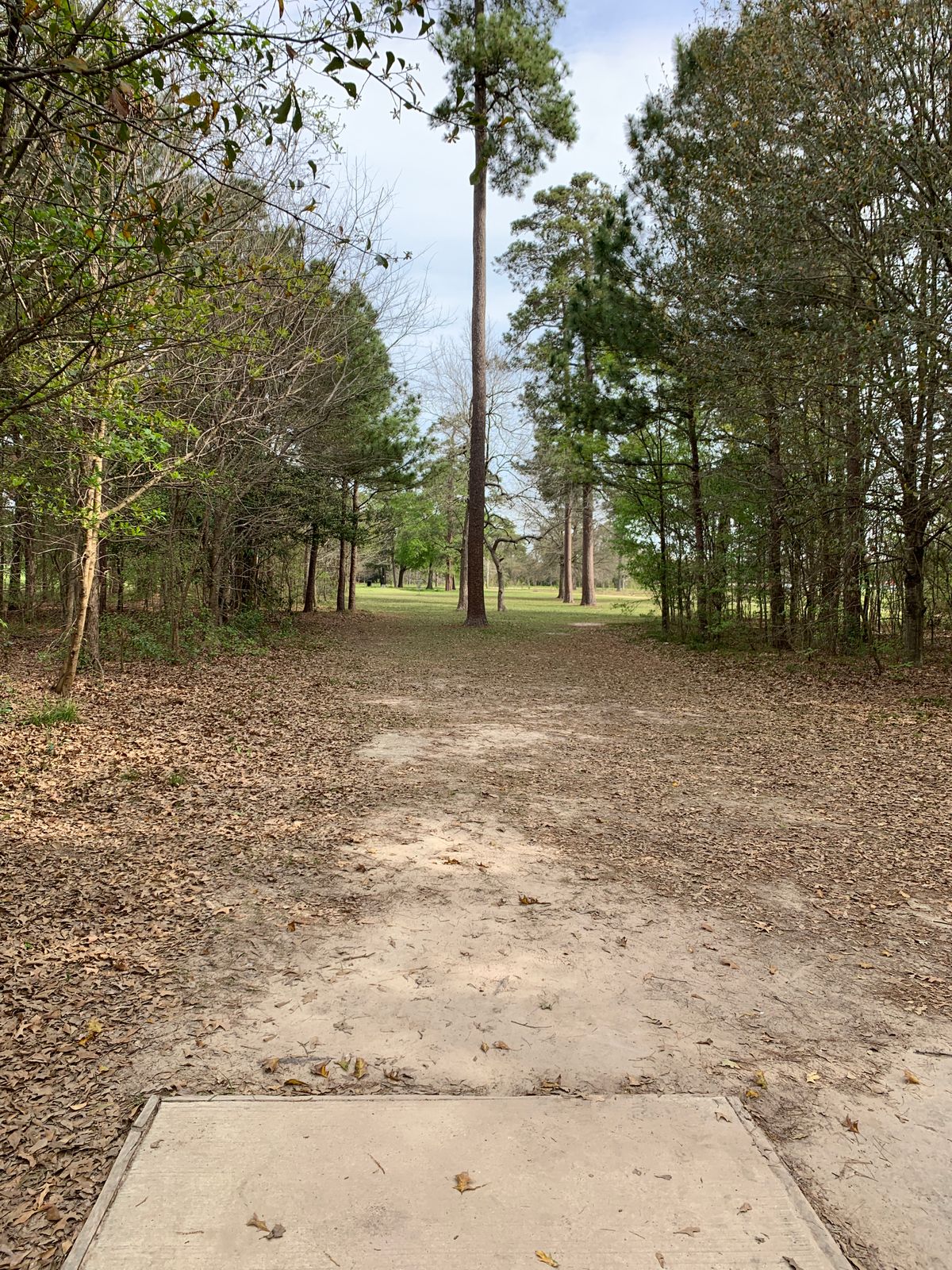 Hole 12