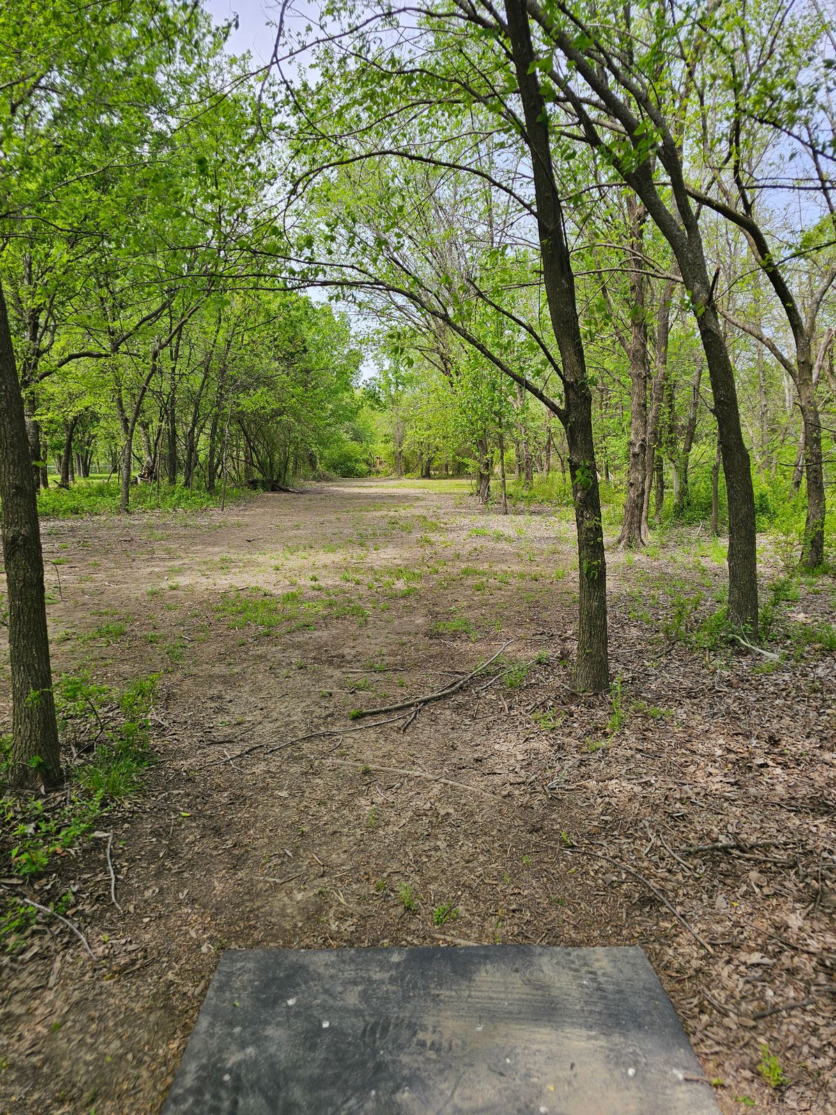 8 short tee pad