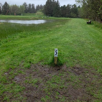 5th hole
